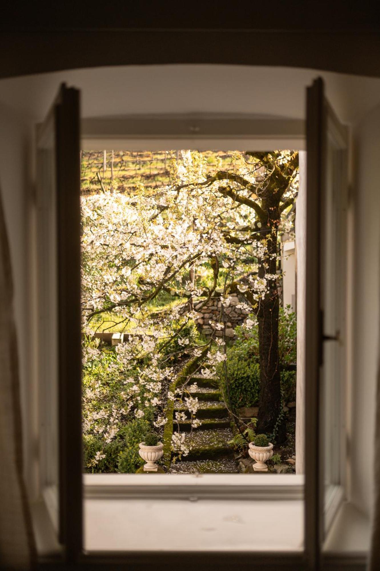 Ottmanngut Suite And Breakfast Merano Exterior foto